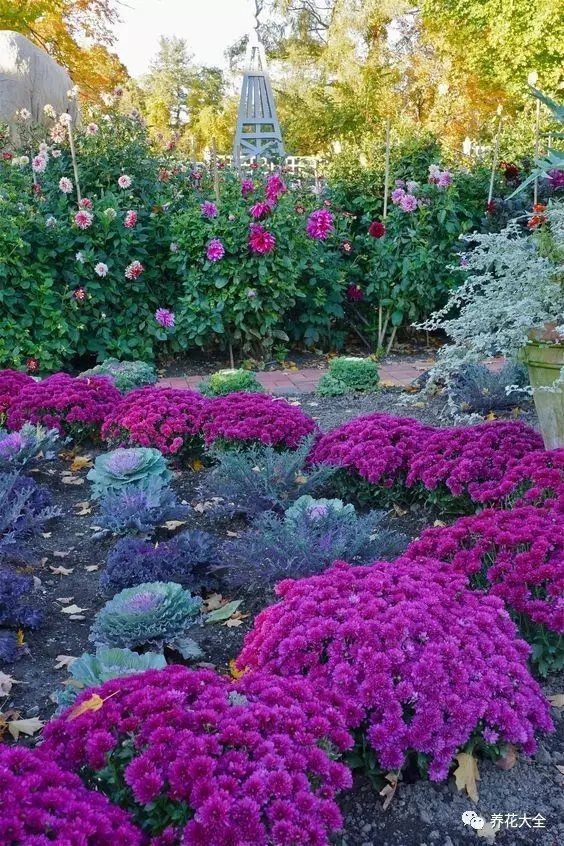 清晨早起，呼吸着新鲜的空气， 听着耳边小鸟叽叽喳喳， 带着露水的各种花， 迎着朝阳开得正好。2