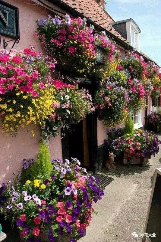 清晨早起，呼吸着新鲜的空气， 听着耳边小鸟叽叽喳喳， 带着露水的各种花， 迎着朝阳开得正好。3