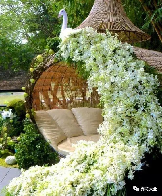 午饭后，在庭院的躺椅上， 慢慢地读一本未看完的书， 又或者是趁着凉凉的微风， 稍微小憩一阵子， 微风中传来淡淡的花香。1