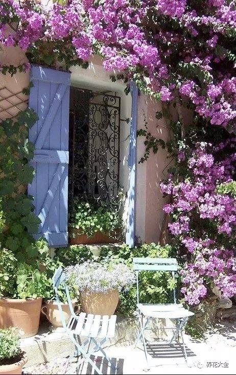 午饭后，在庭院的躺椅上， 慢慢地读一本未看完的书， 又或者是趁着凉凉的微风， 稍微小憩一阵子， 微风中传来淡淡的花香。2