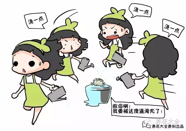 问题二：水蔫