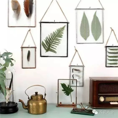 叶子也可以这么美