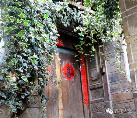 旧木门