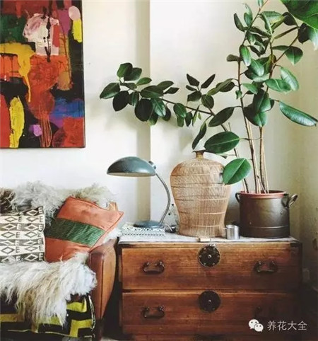 入口、厅角落、楼梯旁