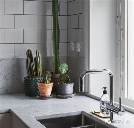 厨房——厨房有盆栽，美化有聚财