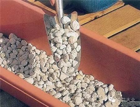 在花盆里面放入钵底石