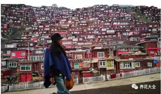 丽江的随性、慵懒、散漫让她深陷其中。这里文化和民俗气息仿佛从古老的历史中浸透出来，缓缓飘散、弥漫，包围着她，令她着迷。