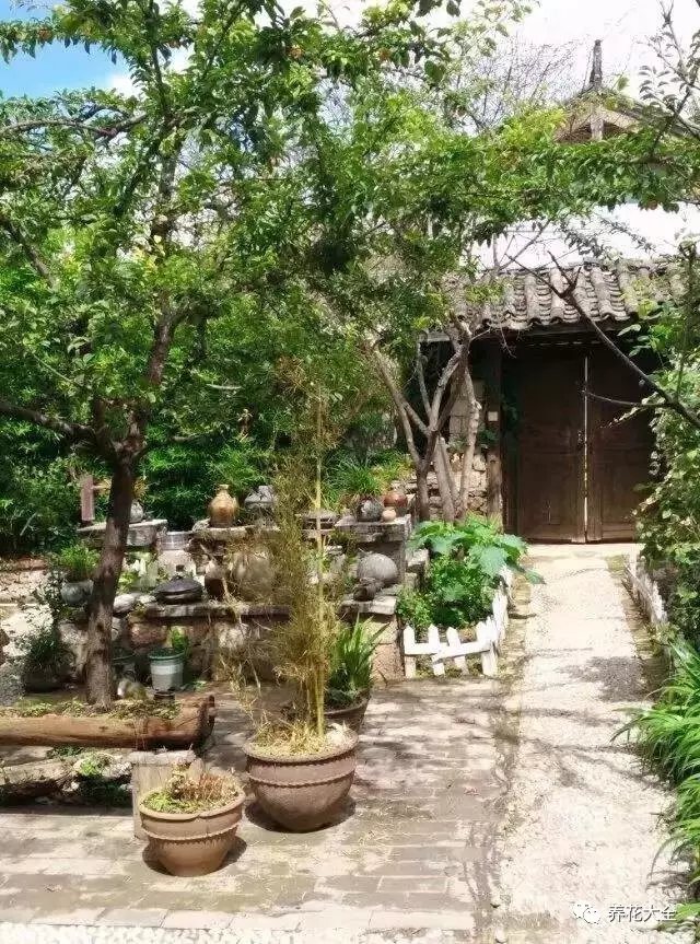 看着这样杂乱无章的院子，涵雪的眼中却亮起了光芒。她决定把租下这片院子，并开始改造。