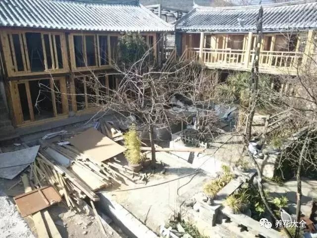 经过一番修整，原本残破的屋顶又焕然一新。