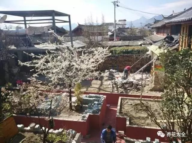 处理完屋顶，就轮到地面了。清理掉院中的碎石板，铺上层层土壤，撒下花种，栽上果树。