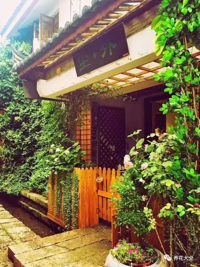 时光流逝，冬去春来。转眼一年过去，小院换上新装，模样动人。