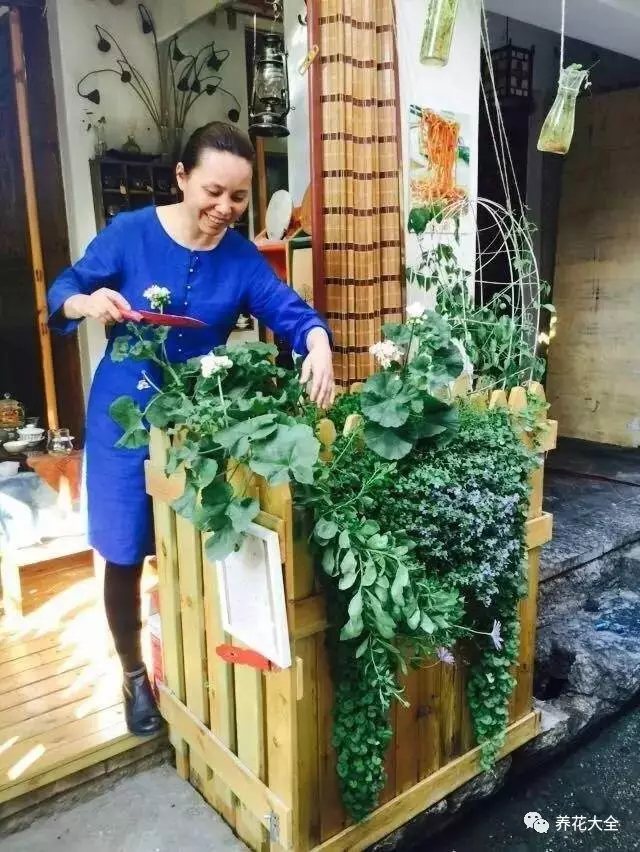 有时候来到这里，还能碰到涵雪在门前打理花草，满脸幸福的笑意。