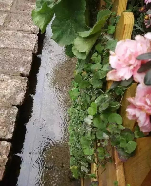  跨过水渠，推开柴扉，走近这方小天地。