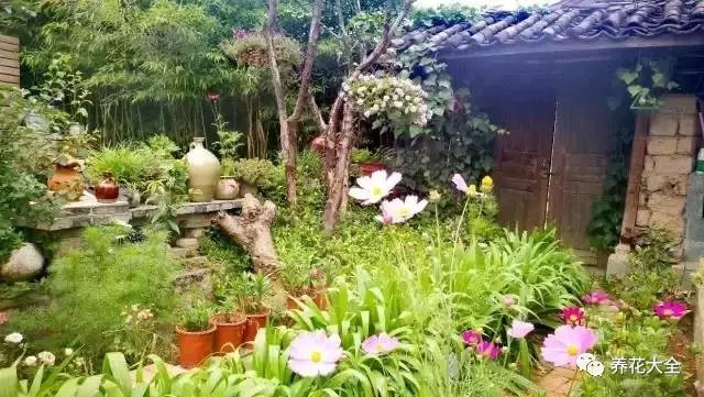 满院生机勃勃，红绿相间，却又不失纯朴。