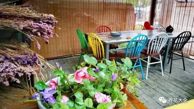  在庭中小憩，各色座椅与小花相映成趣。垂下苇帘，把燥热关在帘外，享受这一刻的清凉。