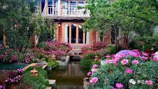  芍药、蔷薇、雏菊、薰衣草……肆意盛开，进到园中，不由地驻足停留，放慢脚步，流连在花间。