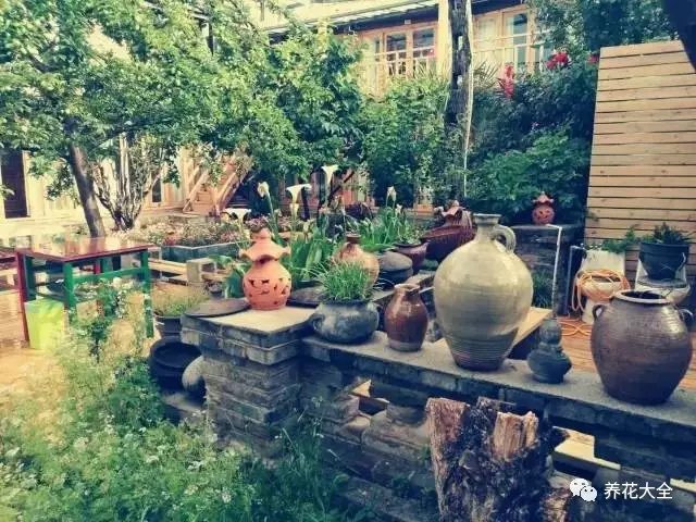 园中还散放着大大小小的陶罐。涵雪说，这些陶罐大有用处，遇上雨天，它们能盛满雨水，待到晴天时便可用来浇花。