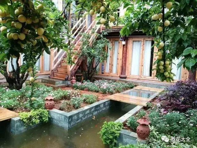 群花盛放后，就轮到果子上场了。棵棵果树硕果累累，李子、石榴、樱桃……争相成熟。