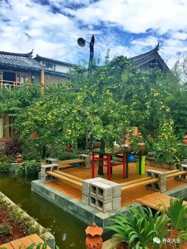 院中央的水池上，是一个绝妙的纳凉之地。午后热意袭来，一个椅子，一张方桌泡，一壶好茶，在树下乘个凉、打个盹。