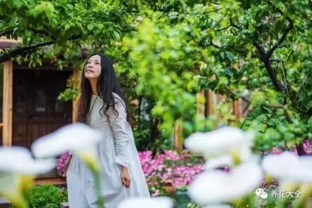 每天睡到自然醒，伴着窃窃鸟语，漫步花间。