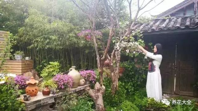 这里的生活惬意的不可挑剔，但是照顾着这满园花草并非易事。修剪、施肥、除草，美好的背后，是许许多多繁琐细节。