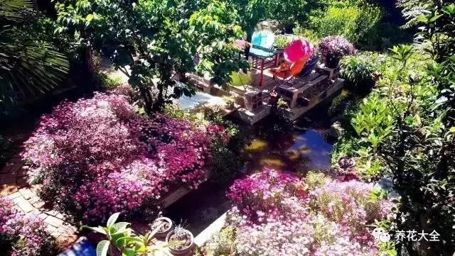 这里的生活惬意的不可挑剔，但是照顾着这满园花草并非易事。修剪、施肥、除草，美好的背后，是许许多多繁琐细节。