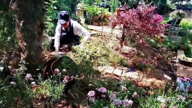 但是涵雪乐在其中，在照料花草的过程中，她也从中体会出了许多道理。比如，人生中有很多难题，很多的事物忍痛割舍，才能真正获得。