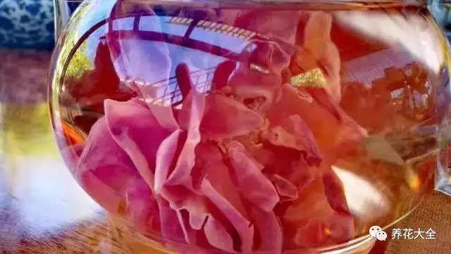 剪下几朵枯萎的玫瑰，晒干后取些许放于茶壶，让她在水中绽放清香。轻尝一口，回味绵长。2