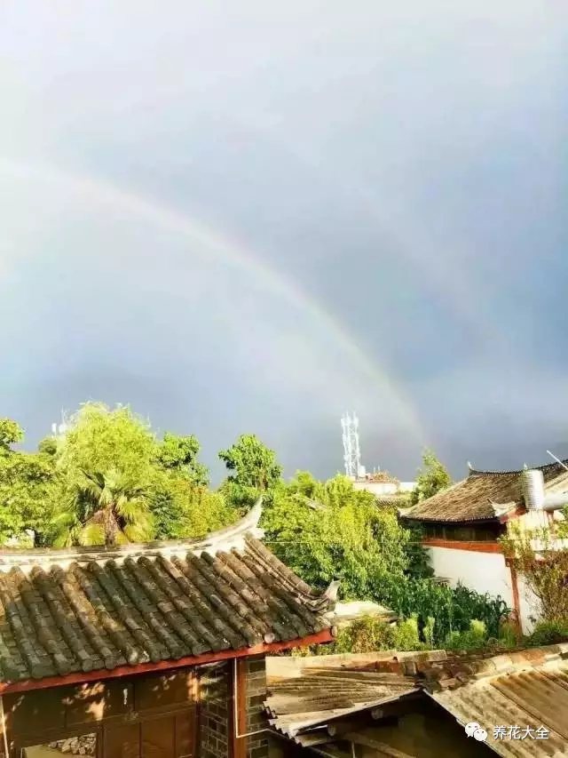 雨后的天空，屋檐上一道彩虹划过。为了不错过这个珍贵的瞬间，涵雪还给自己屋内装上透明玻璃屋顶。