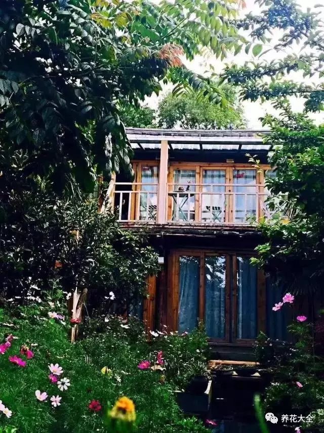 或许在某一个忙碌瞬间，突然抬头，望见漫天晚霞。