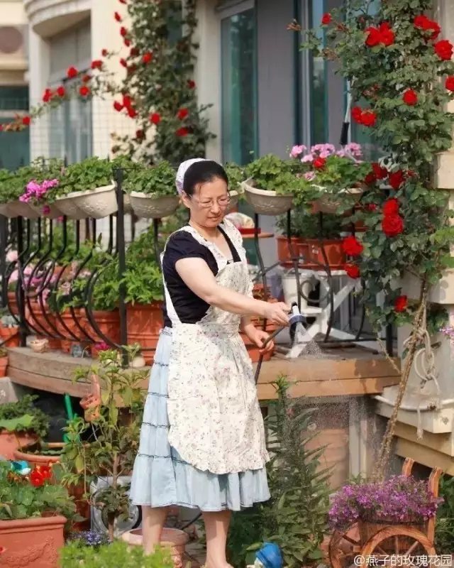 走进这里，遇见满园的芬芳四溢，也遇见主人燕子忙碌的身影。