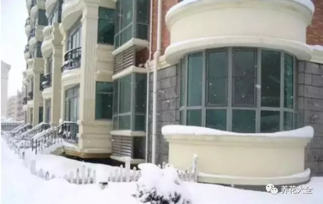 燕子家的房子，看上去像欧洲小洋房。其实并不是，它只是普通居民楼的一层，外带一个“园子”20多平，满地的石头泥土。