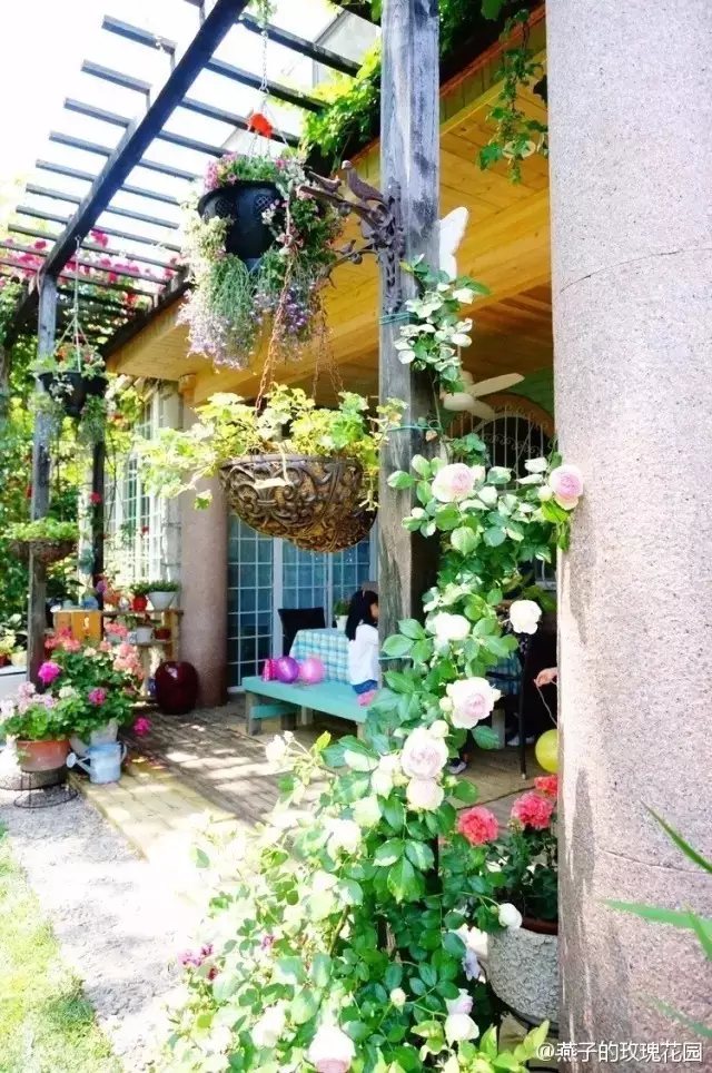 2005年冬天，她与这所房子相遇。从小就喜欢花花草草的她，还没有住进去，就已经在心里规划着怎么在空地种花了。