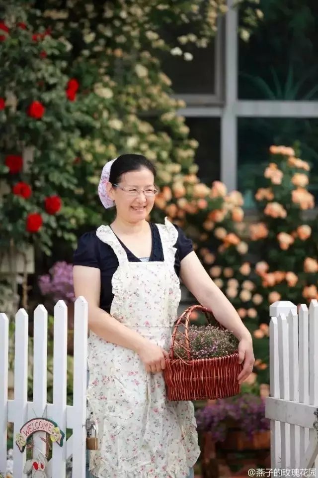 种花不是一时兴起，除了热情，还需要汗水、坚持和耐心。十余年过去了，燕子依旧辛勤劳作，日复一日。把花园照顾的越来越美，花的种类也越来越多，木香、月季、薰衣草……这些看似简单的背后，却藏着许多不易。