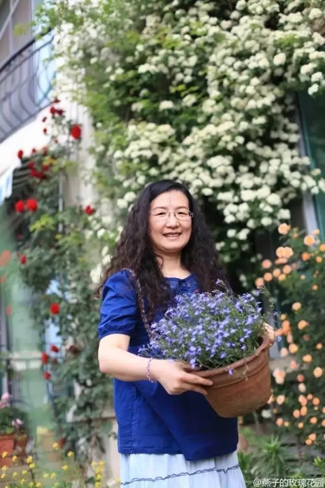 但是源于热爱和坚定，她总能在忙碌的八小时之外，挤出时间来侍弄她心爱的花草。