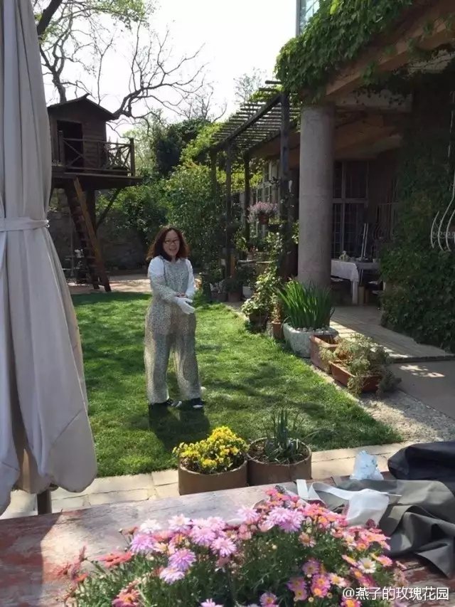 工作回来的燕子，总是在花草件忙碌着。她还在院中建起了一个小树屋，没事的时候登上高处，花园景色尽收眼底。