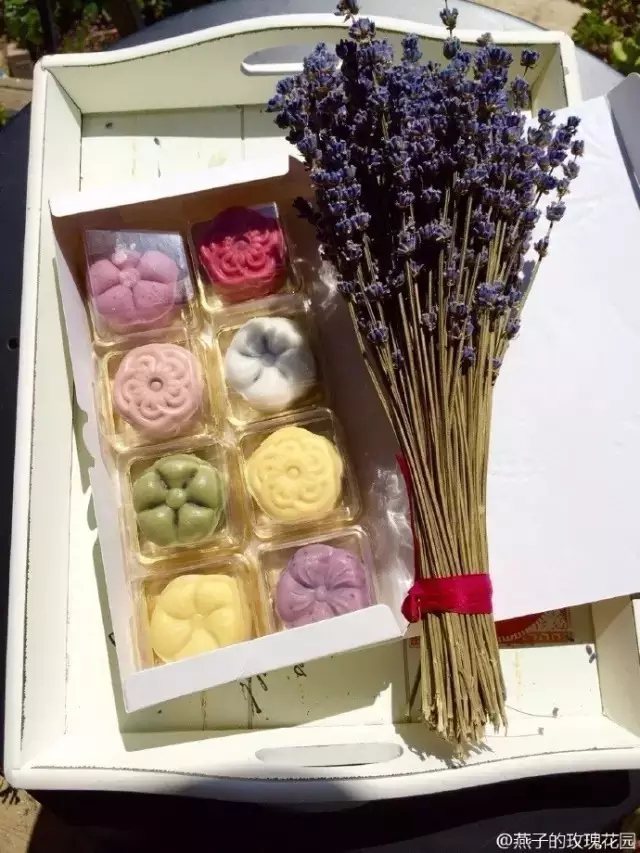 采集玫瑰花瓣做一个可口的蛋糕，做给家人。3