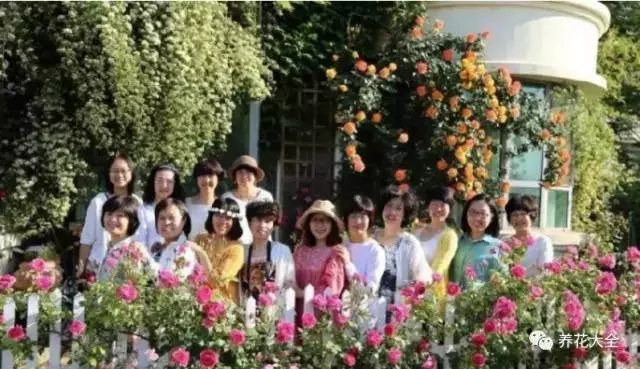 空闲时，约三俩好友，在园子里喝茶、吃甜点、谈心。