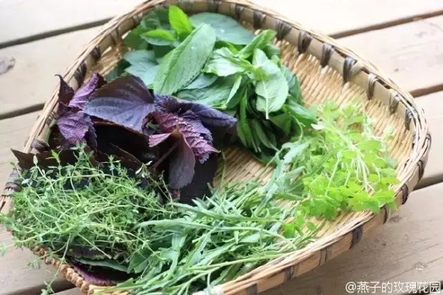 除了种花，燕子还在院子里种了许多水果蔬菜。每个季节都能有满满的收获。2