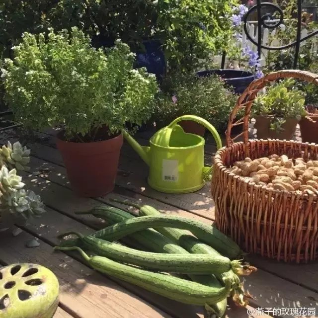 她便可以为家人们做上健康又美味的菜肴。
