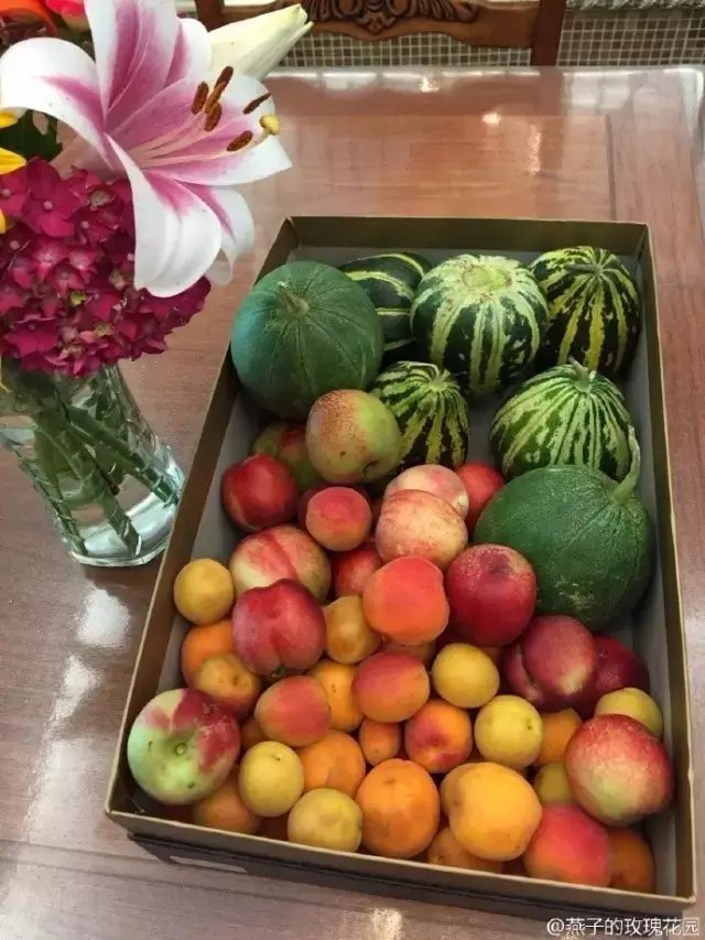 也能把自己丰收的喜悦分享给好友或邻居。2