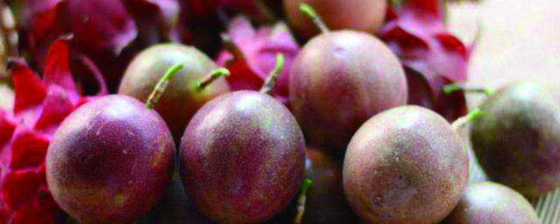 百香果泡水的正确方法，蜂蜜百香果有什么功效