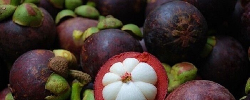 山竹怎么吃有什么功效，山竹里面的核能吃吗