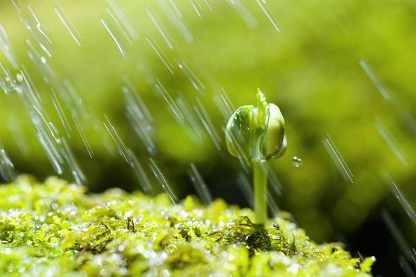 冬天一盆水浇不好,你