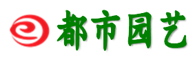 都市园艺_健康养花知识_健康家庭养花技巧_专业养花网站-养花百科网